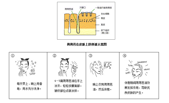 荷荷芭产品功效说明图