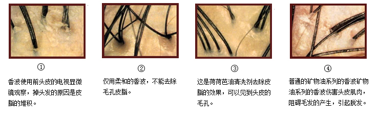荷荷芭产品功效说明图